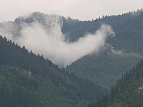 zeiko s guesthouse, Borjomi